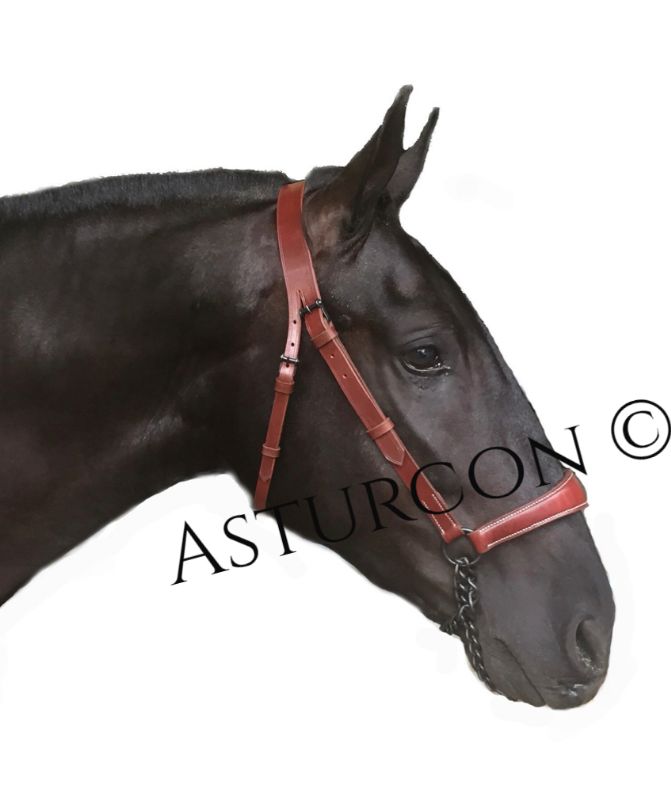 Deluxe Presentation Halter